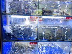 水产区-石锅苗苗鱼(武汉首店)
