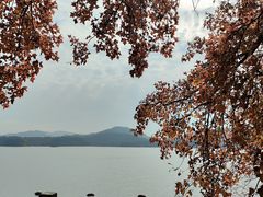 -天目湖山水园
