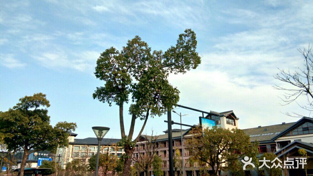 千岛湖大排档景观餐厅