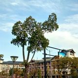 千岛湖大排档景观餐厅
