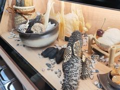 -喜上喜鸡煲翅(吉大店)