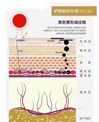 -名发世家烫染