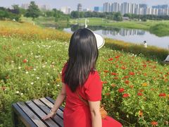 -洋湖国家湿地公园