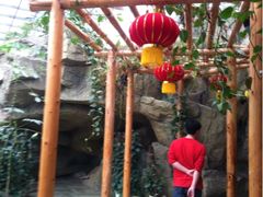 iphone_upload_pic-绿色时代大酒店