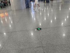 -岳阳东站