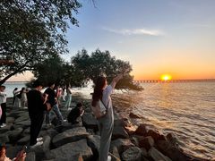 -宝安西湾红树林湿地公园