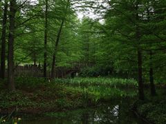-新盈光·心院(嘉恒广场店)