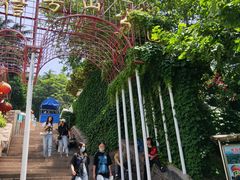 景点-信号山公园