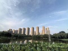 -木塔寺遗址生态公园