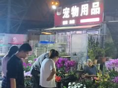 -中环花鸟鱼虫市场