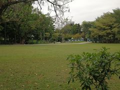 -荔枝公园(福田区)