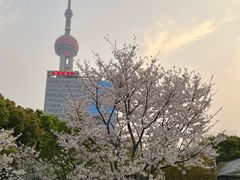 -浦江二号·独栋江景餐厅(滨江大道店)