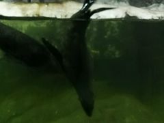 -南昌海洋公园