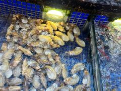 -欢乐海岸美食联盟