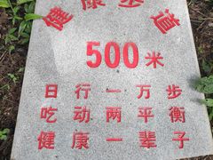 -青龙山国家森林公园