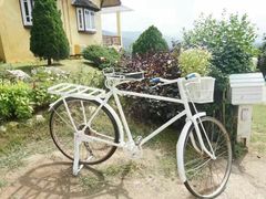 -黄色小屋