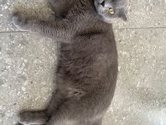 -NOTOOCAFE不二咖啡馆(岩前店)