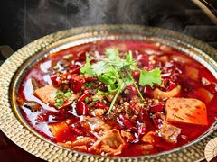 -樽宴酒楼·地道川菜·品质聚会·生日宴请