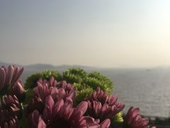 -舟山希尔顿酒店