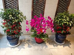 -乾州食府(小雁塔店)