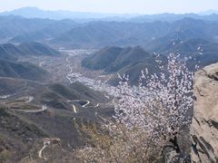 -定都阁