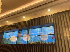 -珍宝海鲜JUMBO Seafood(尚嘉店)
