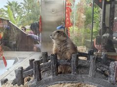 -珠海海泉湾神秘岛亲子乐园