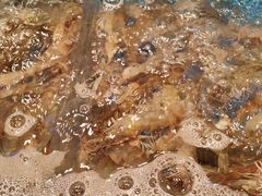 -焰江山海鲜牛排烤肉自助(锦华万达二星店)