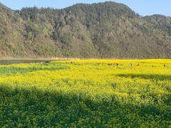 -新安江山水画廊风景区