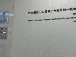 -智美品质医美