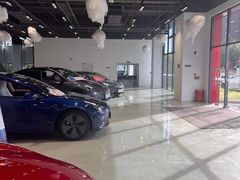 -TESLA 特斯拉(深圳观澜特斯拉直营钣喷中心)