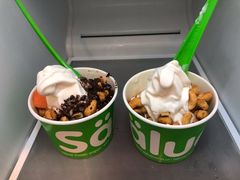 -Salud撒露欧洲冻酸奶(蓝色港湾店)