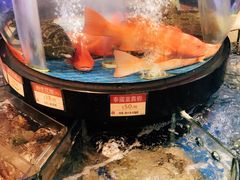-陶陶居海鲜酒家(新马路店)