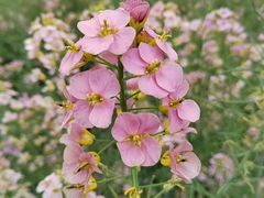 -中国天府农业博览园