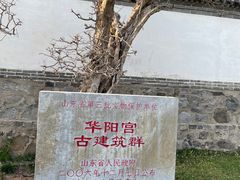 -华山风景区-华阳宫