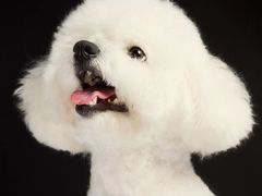 -橡皮照相馆