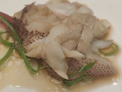 -星海.星海荟(铜锣湾店)