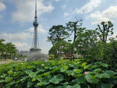-文华公园(禅城区)