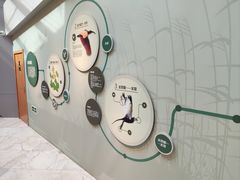 -下渚湖国家湿地公园科普馆