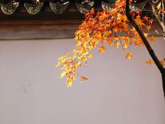 -秋霞圃