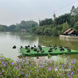 第一站到了长隆野生动物园