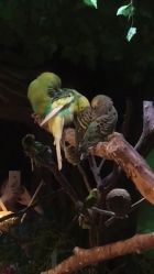 -酷嗒动物文化乐园(cutezoo西溪乐天城店)