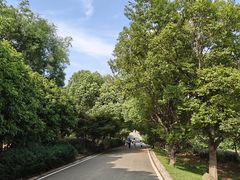 -南京市江宁方山