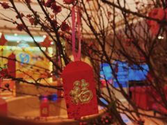 -萧邦音乐会所KTV·蒸汽活海鲜自助(福田店)