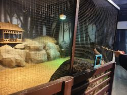 -酷嗒动物文化乐园(cutezoo西溪乐天城店)