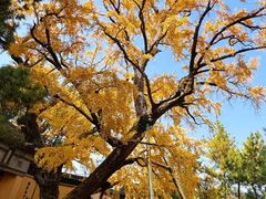 -无锡惠山寺