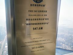 -平安金融中心云际观光层