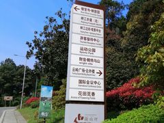 -铁山坪森林公园