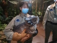 -侏罗纪世界电影特展(广州站)