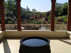 -深圳仙湖植物园